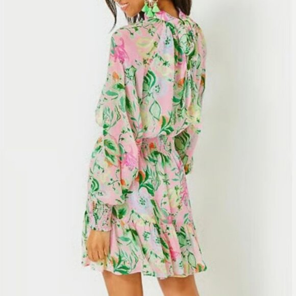 Lilly Pulitzer Ellielynn Long Sleeve Dress - Picture 2 of 12